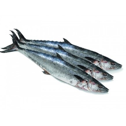 Sikandr Fish Product – www.flaminqoshrimpex.com
